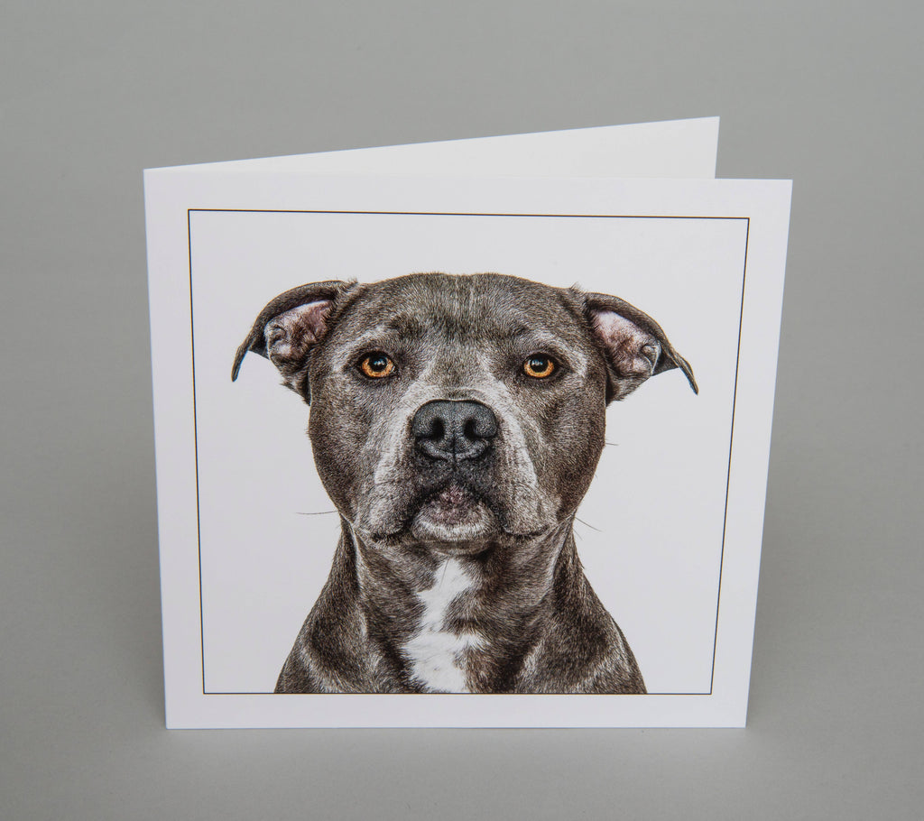 Staffordshire bullterrier - Dog Greeting Card
