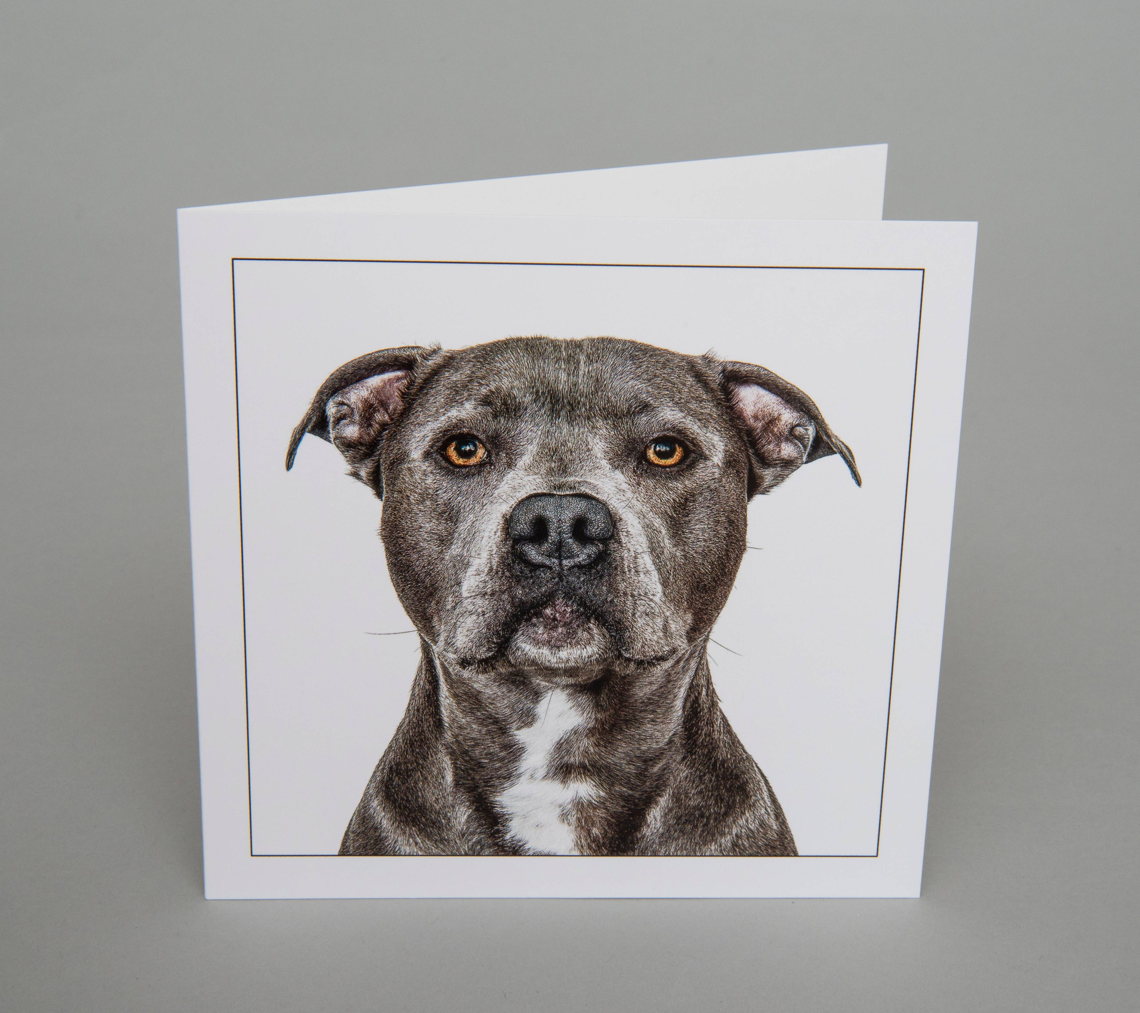 Staffordshire bullterrier - Dog Greeting Card