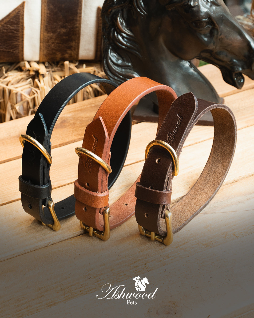 Leather Dog Collar- Signature Range