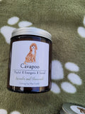Cavapoo Candle