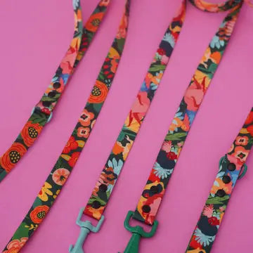 Loud and Proud Dog Lead