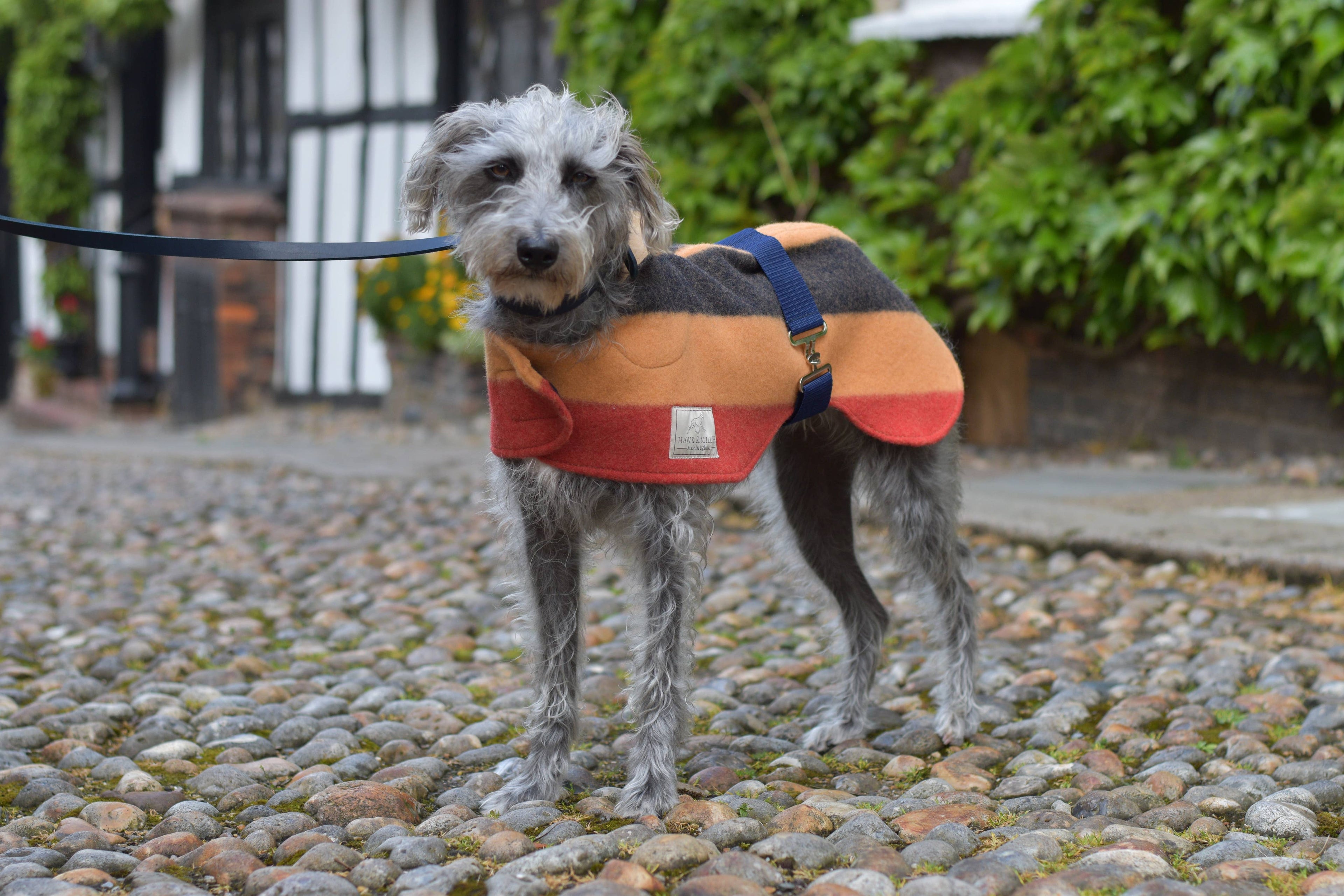 Newmarket Blanket Coat - 
Original Whippet