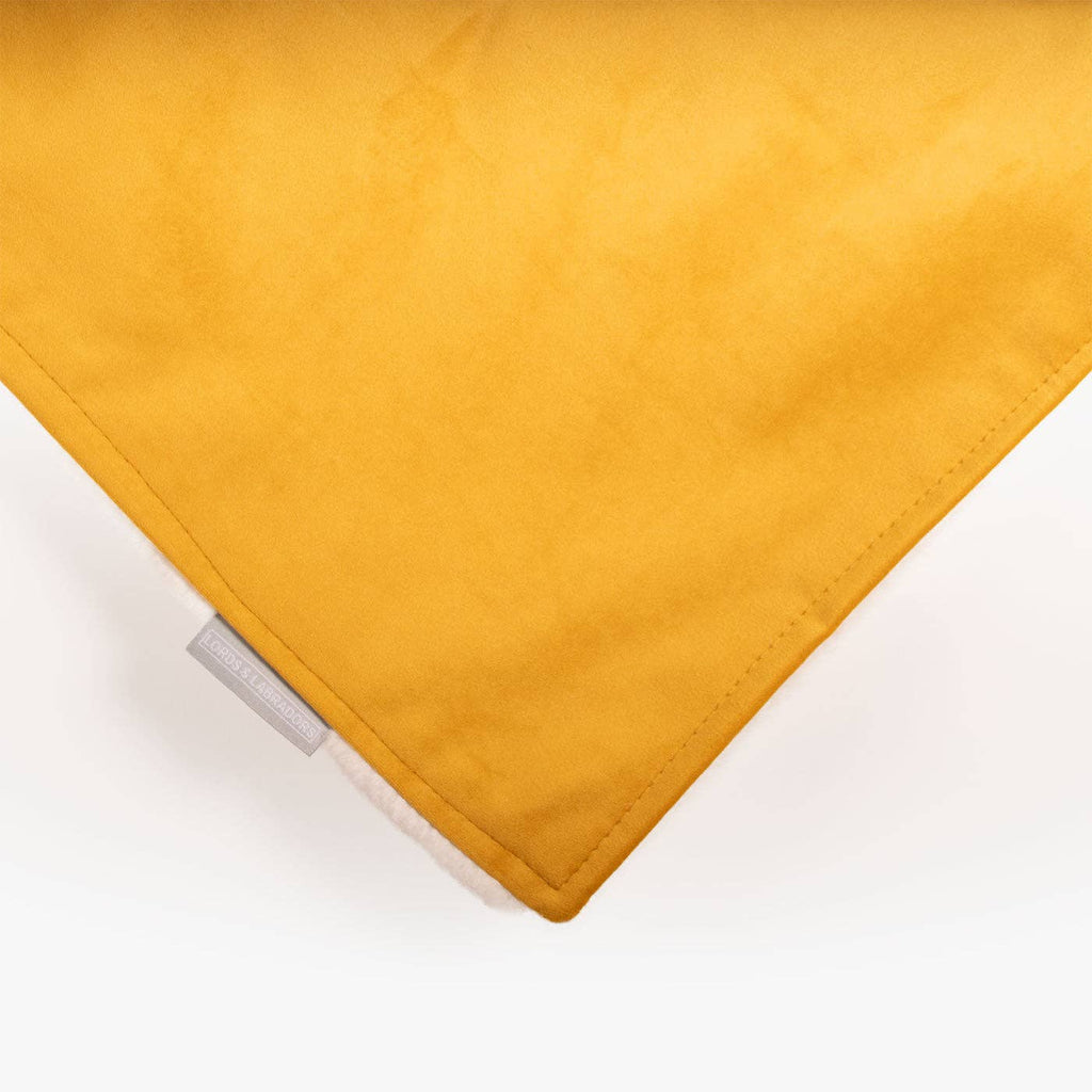 Dog & Puppy Blanket in Saffron Velvet