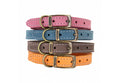 Leather Dog Collar- Heritage Range