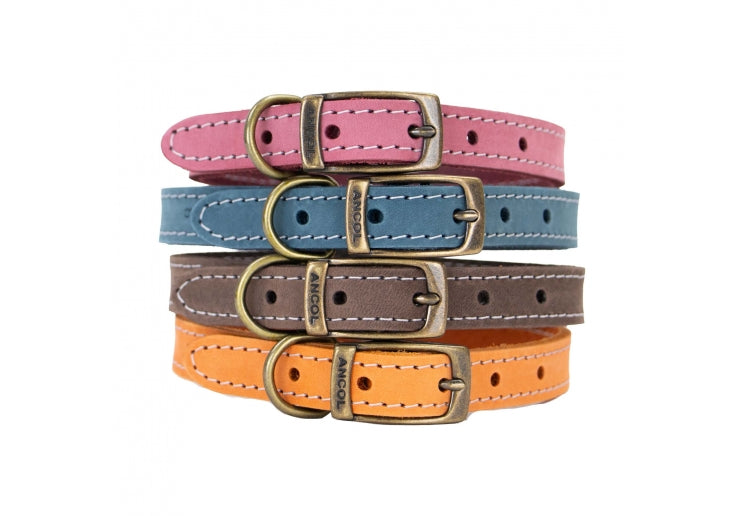 Leather Dog Collar- Heritage Range
