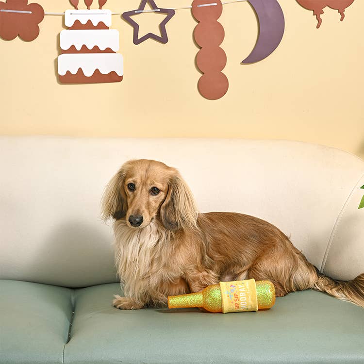 HugSmart Pet - Yappy Birthday | Birthday Wine - TPR Rubber