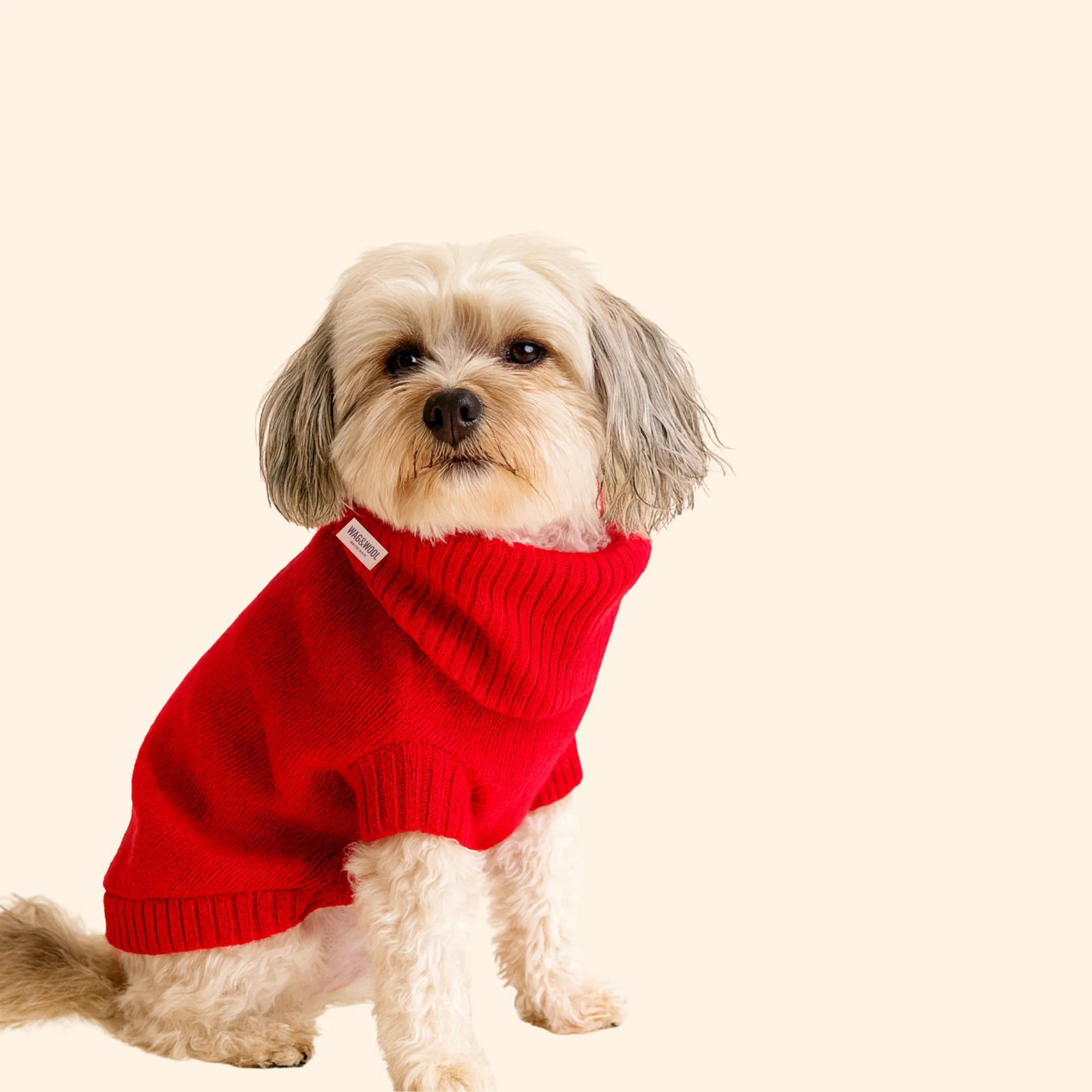 Cherry Red British Wool Dog Jumper