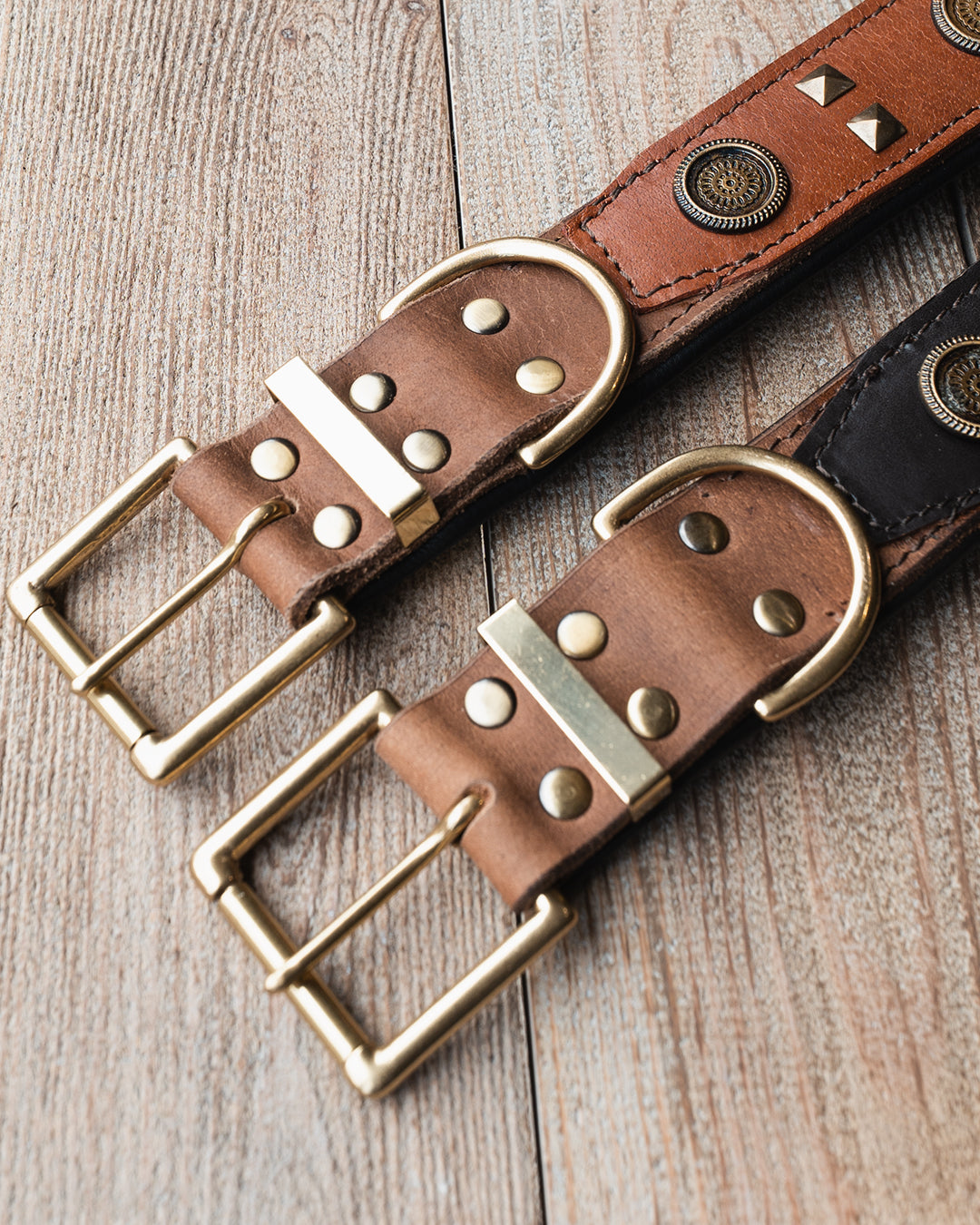 Leather Dog Collar - with studs K9C26