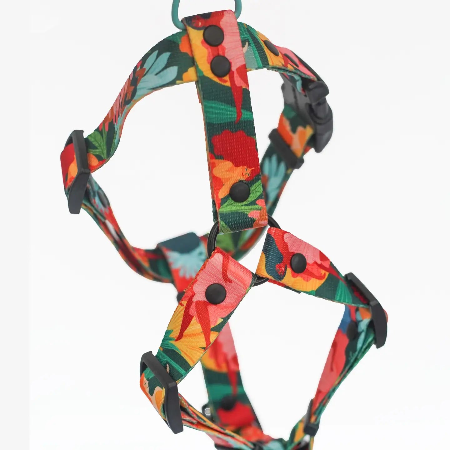 Loud and Proud Dog Harness
