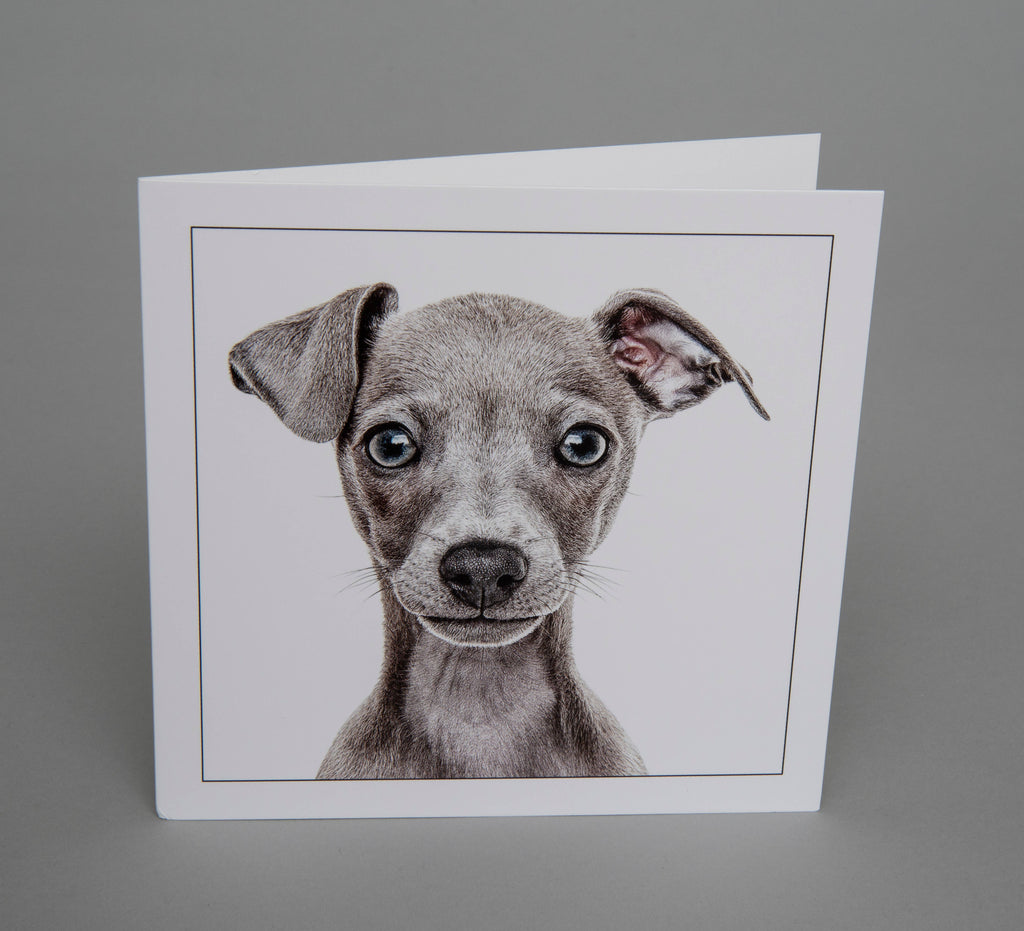 Italian Greyhound - Dog Greeting Card