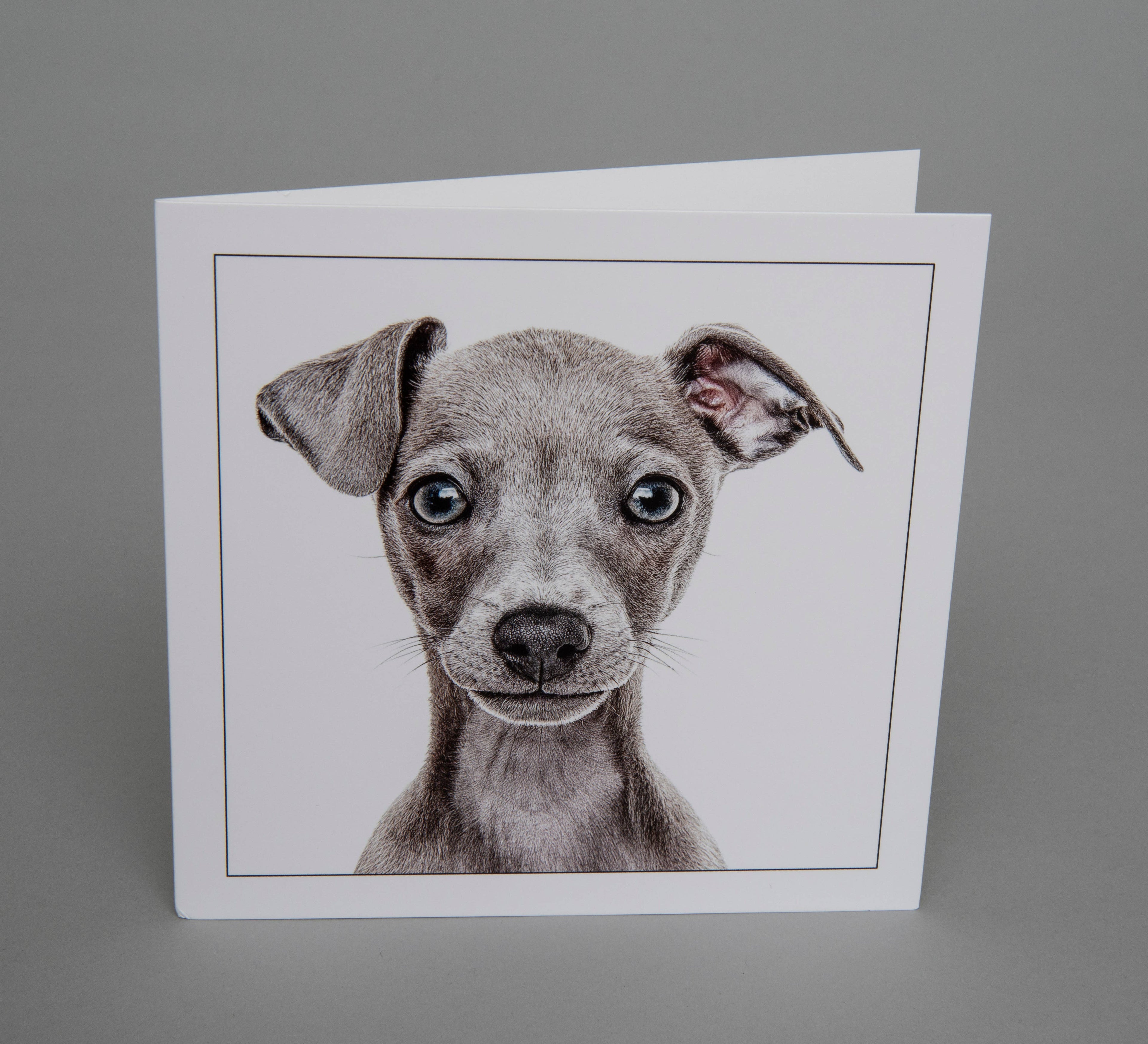 Italian Greyhound - Dog Greeting Card
