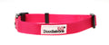 Dog Collar - Fuchsia