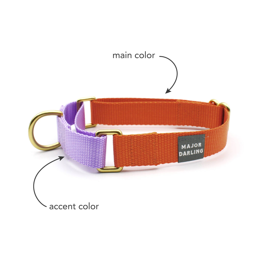 Martingale Collar / Custom Colorway