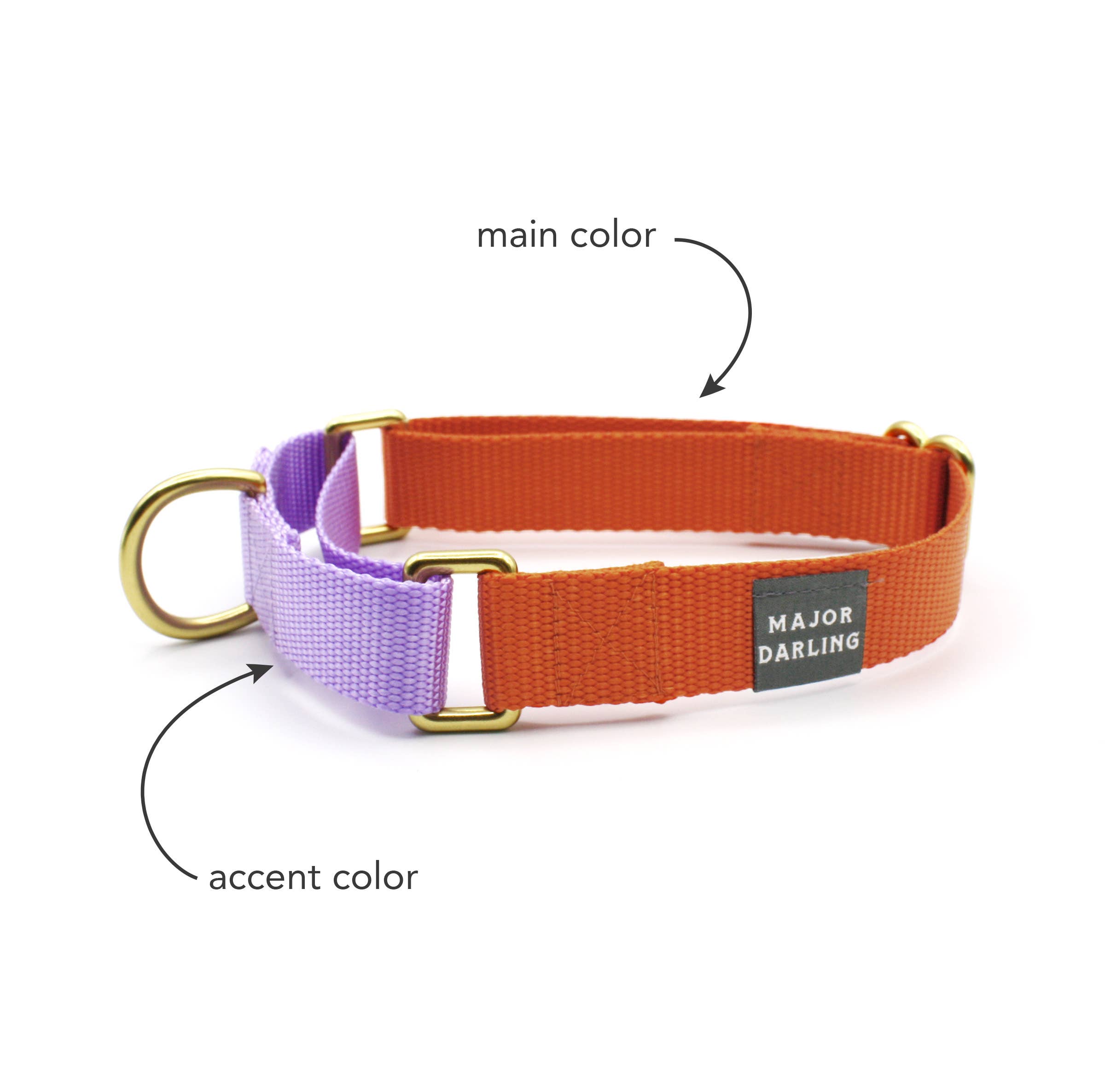Martingale Collar / Custom Colorway