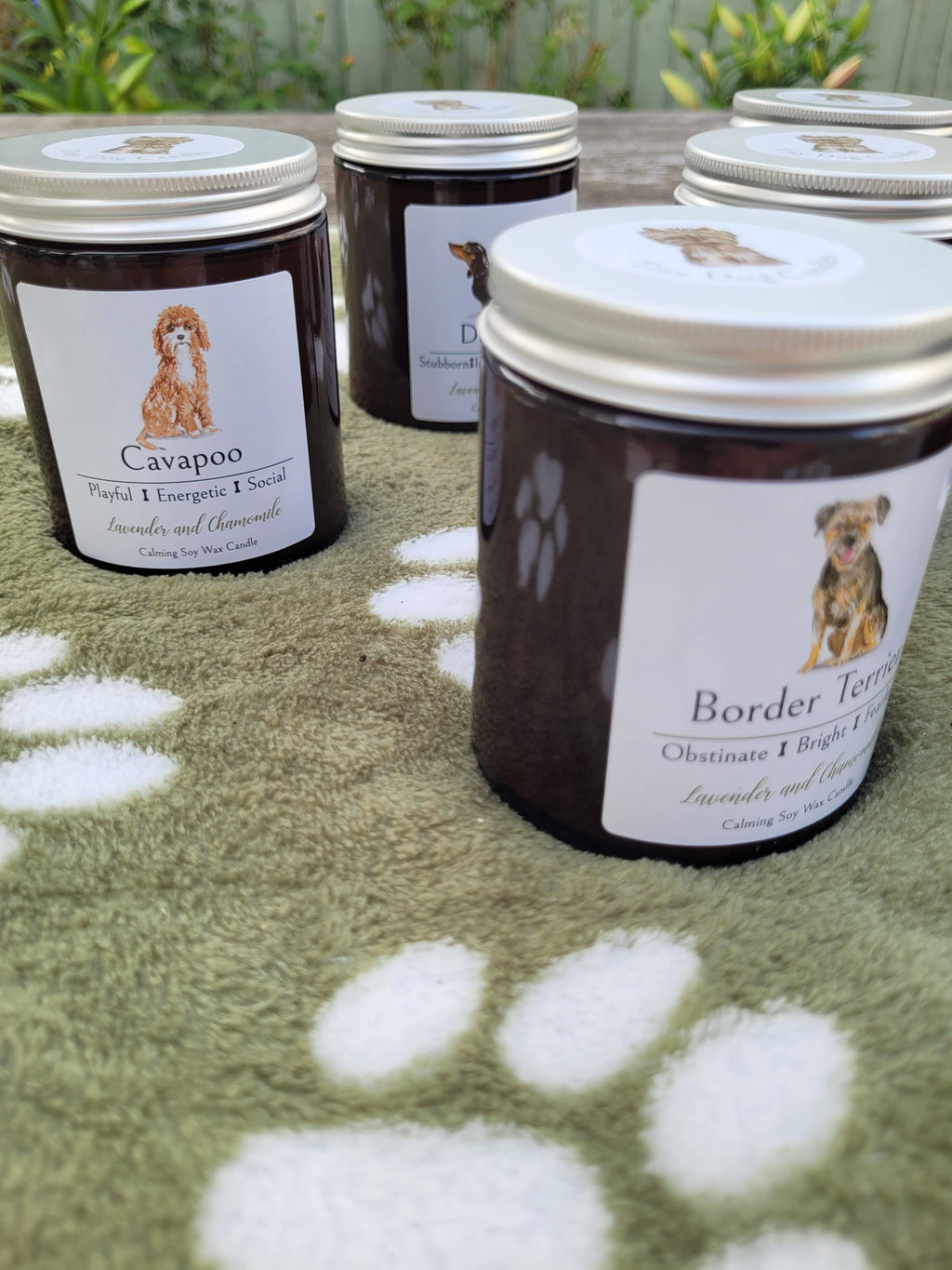 Cavapoo Candle