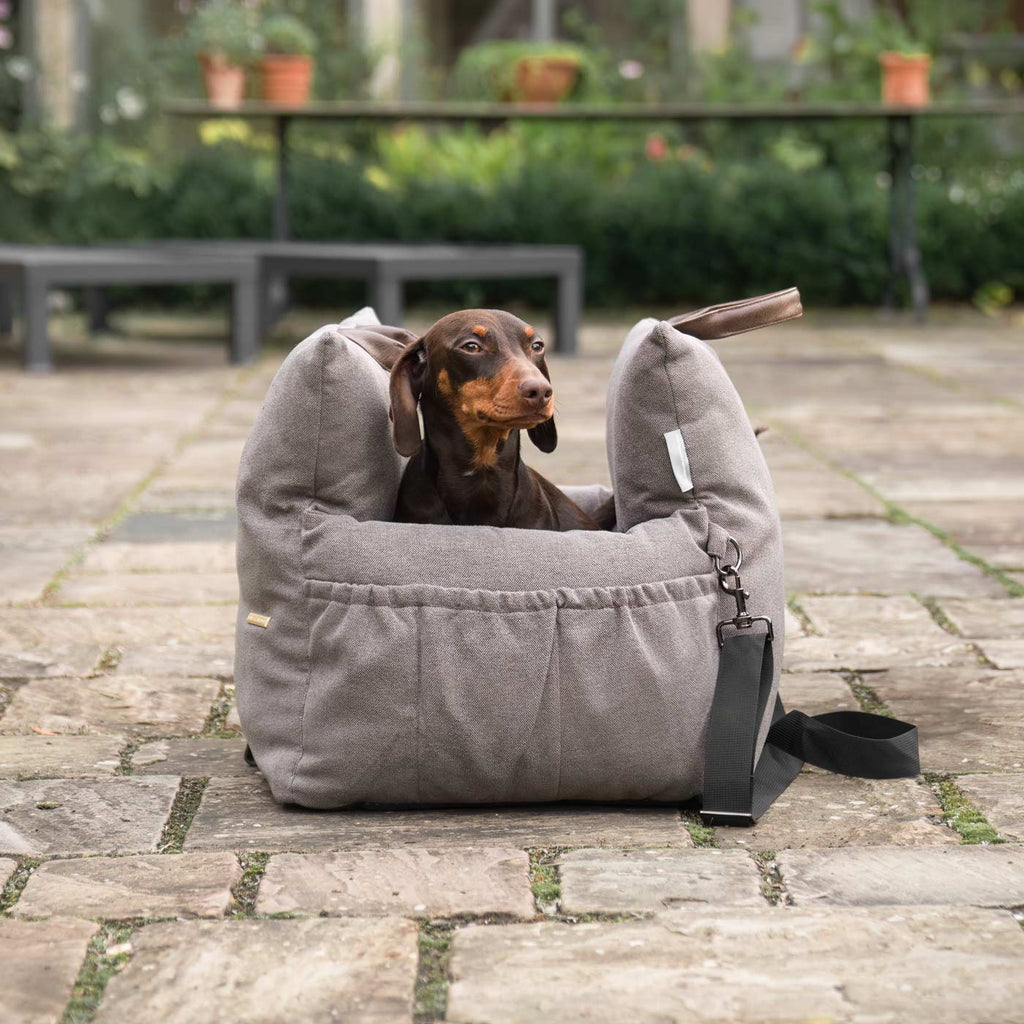 Easy Traveller in Truffle