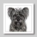 Cairn terrier - Dog Greeting Card
