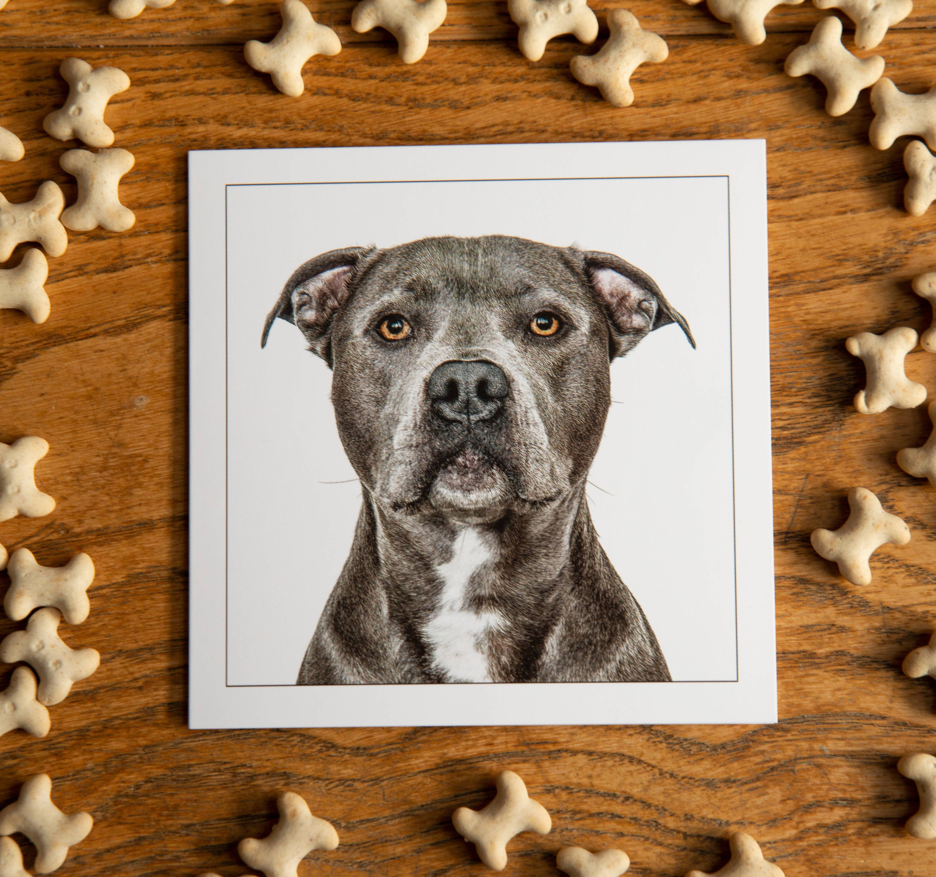 Staffordshire bullterrier - Dog Greeting Card
