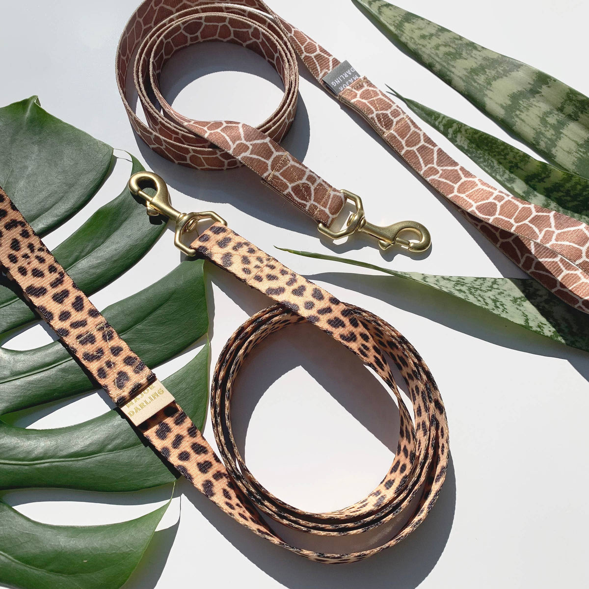 Leopard Print Leash