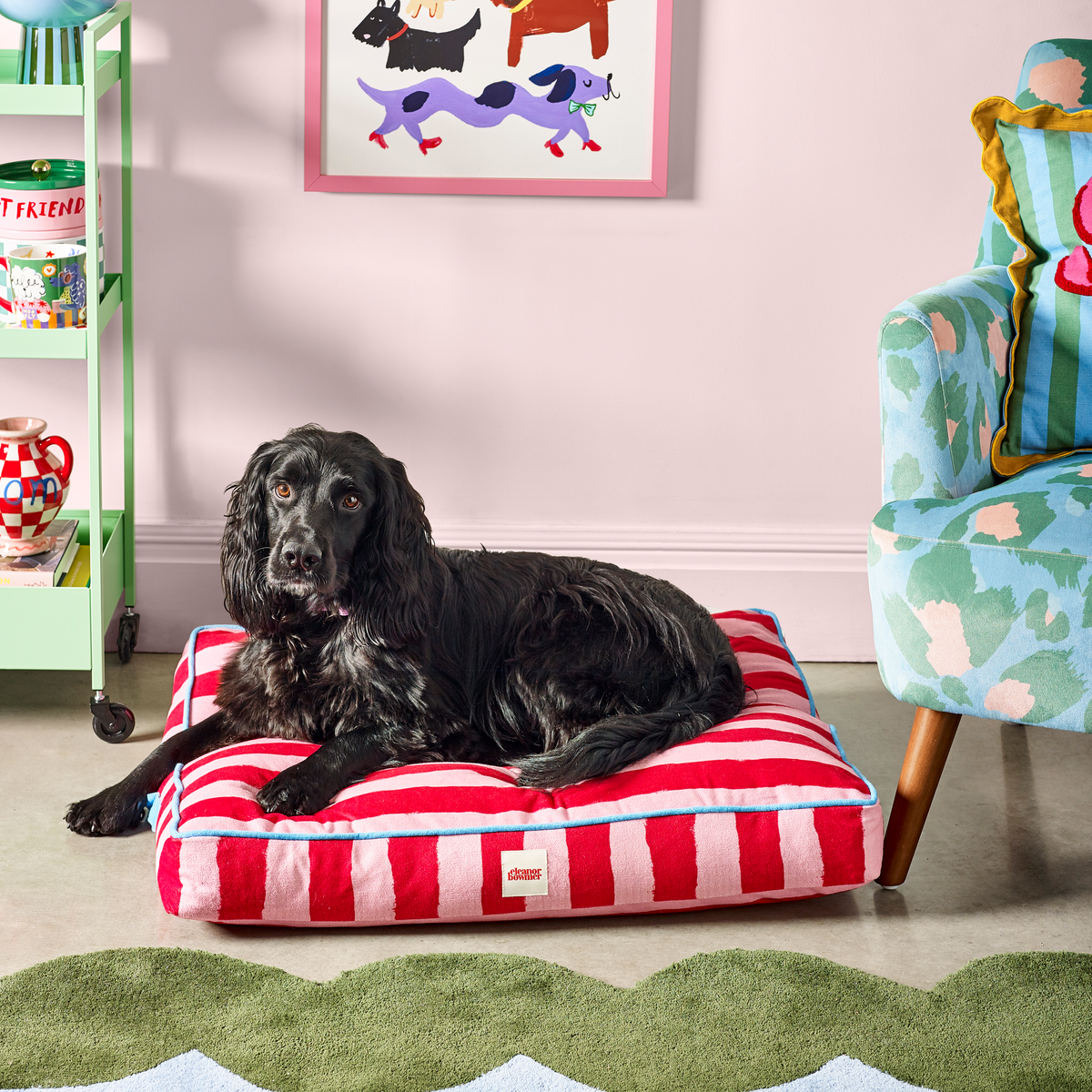 Flat Pet Bed