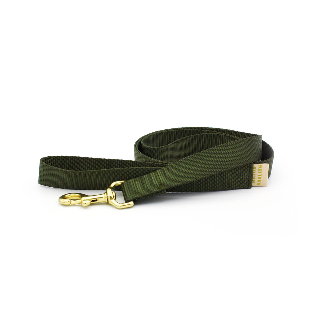 Basic Lead