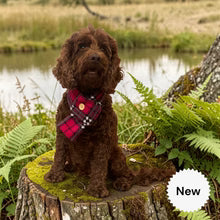 Tartan Scarf - Pink