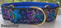 50mm wide Sighthound Collar - Beautiful