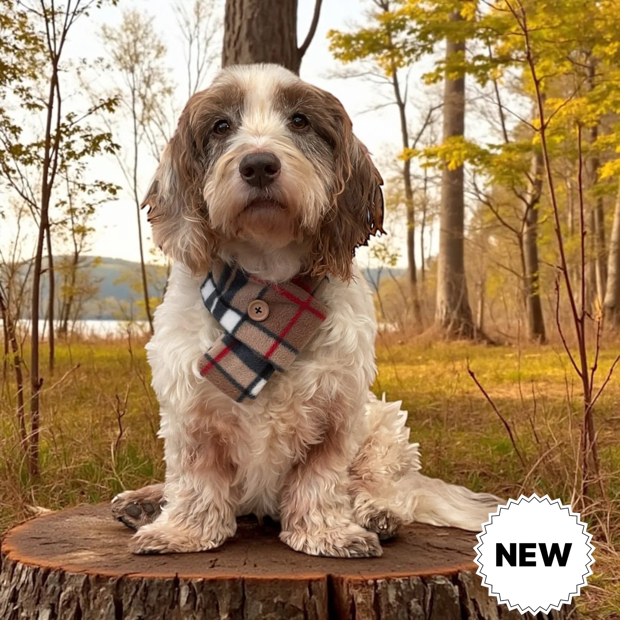 Tartan Scarf - Beige/Black