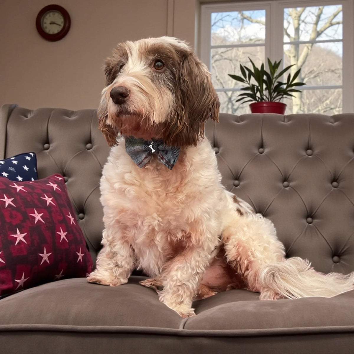 Bow Tie - Ralph Tartan