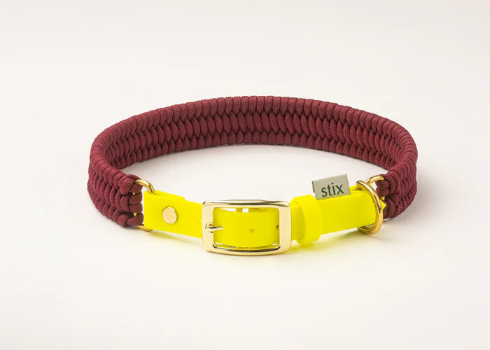 Stix Collar - Burgundy with Yellow