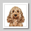 Cockerpoo - Dog Greeting Card