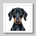 Daschund mini - Dog Greeting Card