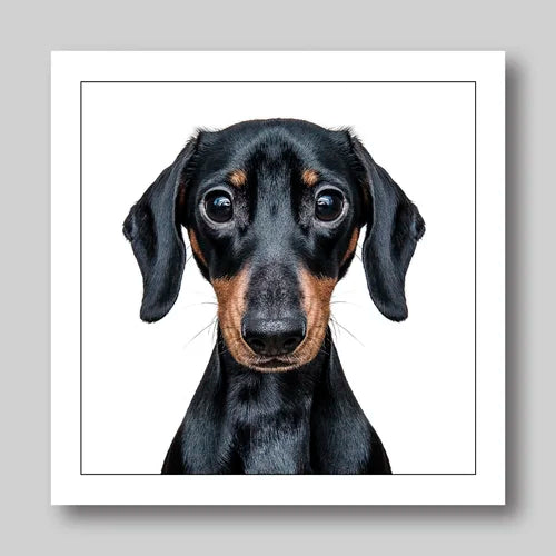 Daschund mini - Dog Greeting Card