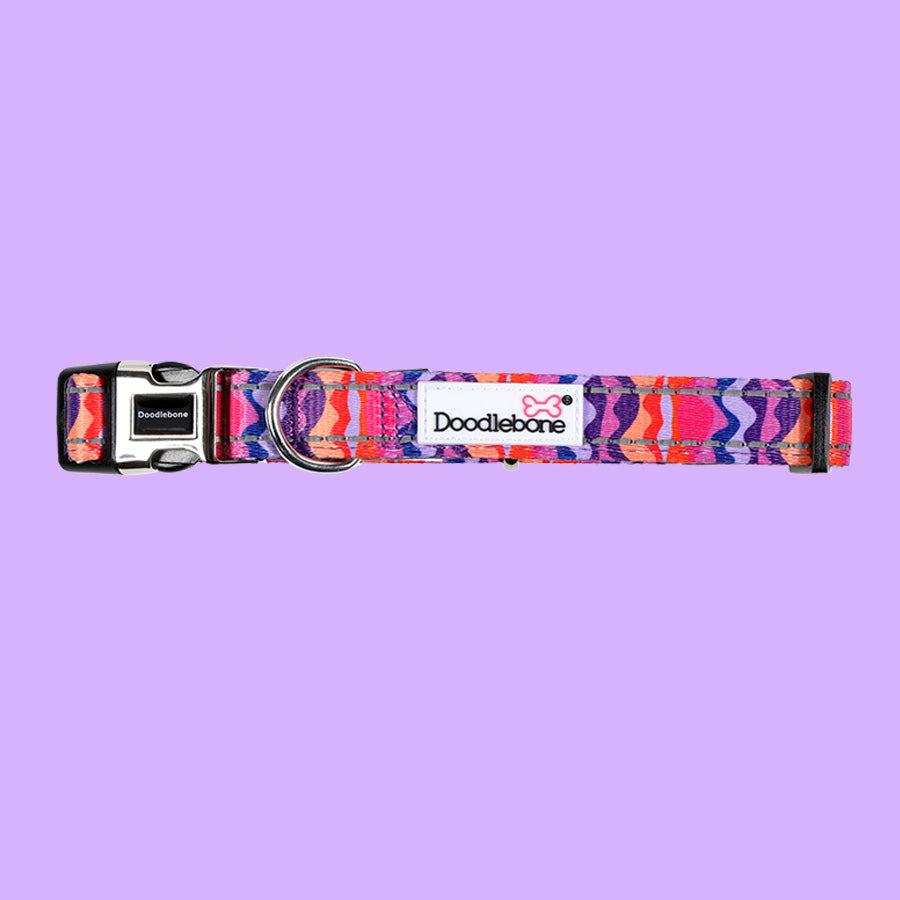 Padded Dog Collar - Dunes