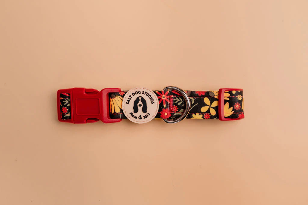 Folksy Flower Dog Collar