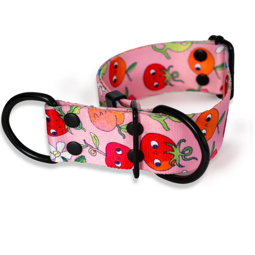Sweet tooth MARTINGALE COLLAR
