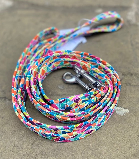 Kaleidoscope Dog Lead