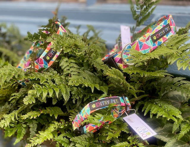 Kaleidoscope Dog Collar