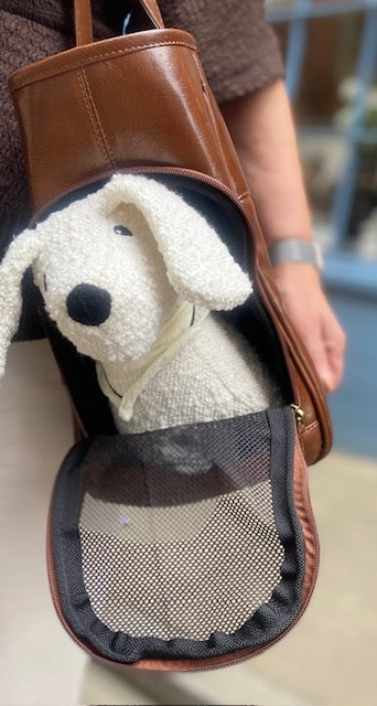 Florence Leather Dog Carrier