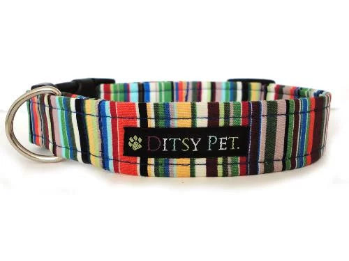 Joseph Dog Collar