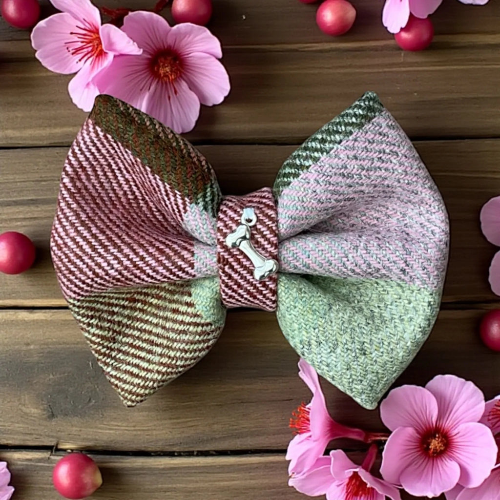Bow Tie - Lola Tartan