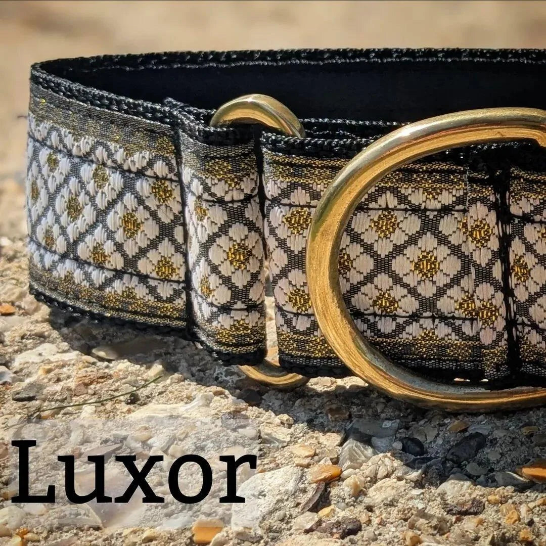 40mm wide Sighthound Collar - Luxor