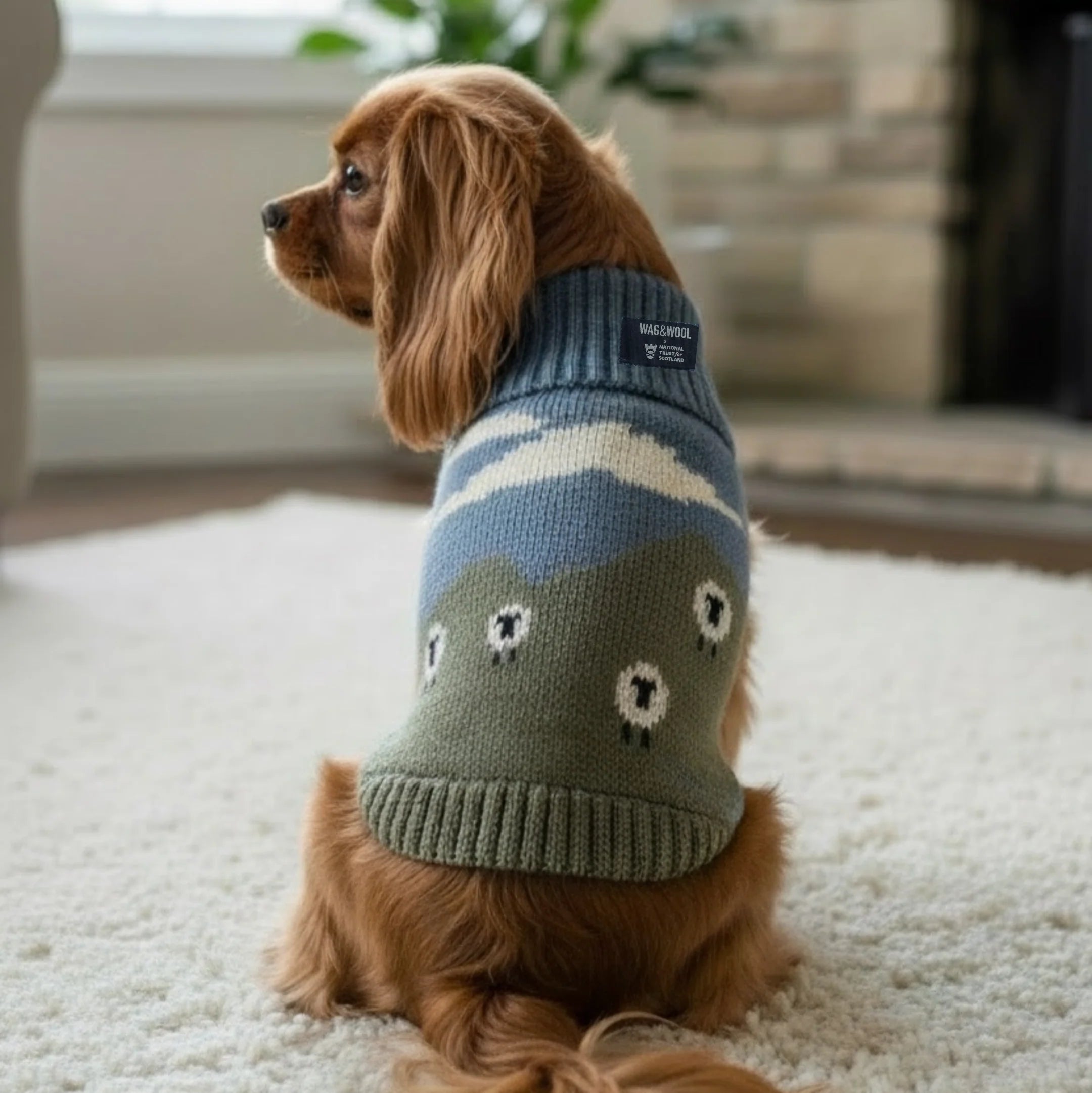 Blackface Sheep Dog Jumper in British Wool