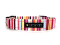 Padstow Dog Collar