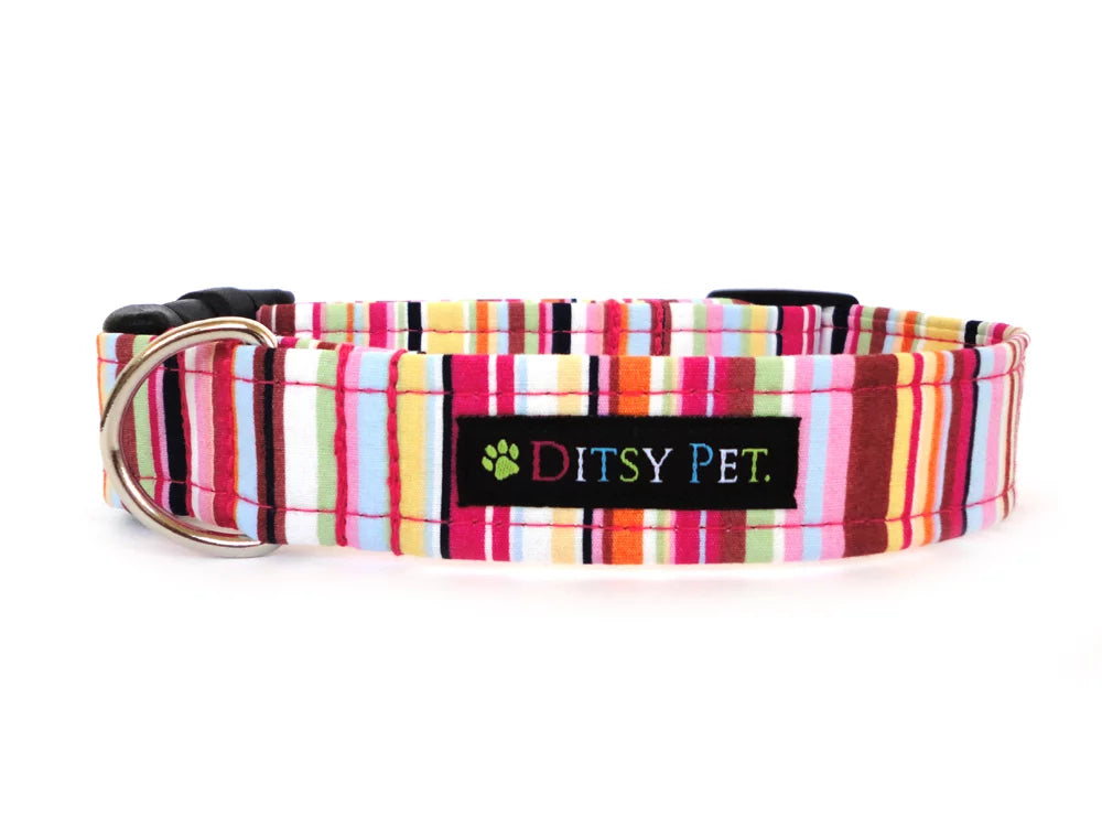 Padstow Dog Collar