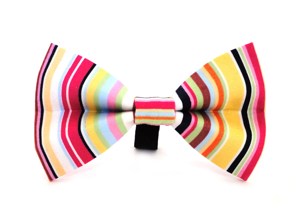 Padstow Dickie Bow Tie
