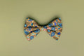 Paisley Dog Bow Tie
