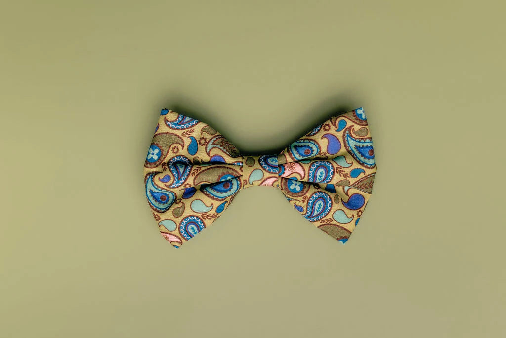 Paisley Dog Bow Tie