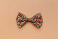 Pheasant Dog Bow Tie