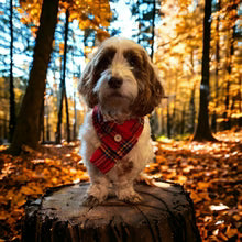 Tartan Scarf - Red